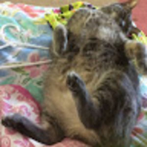 Meet your Posher, Sports